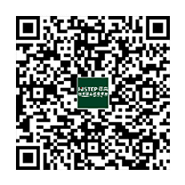 銀灰樺木拚花