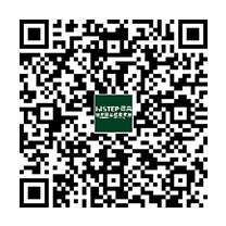 淺棕樺木拚花