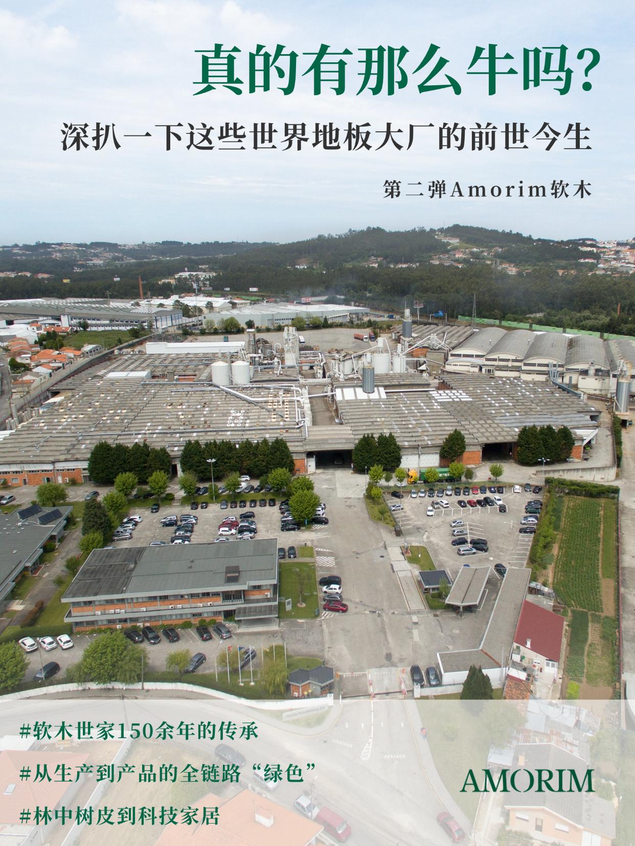 真的有那麽牛嗎？深扒一下這些世界地板大廠的前世今生 圖片4