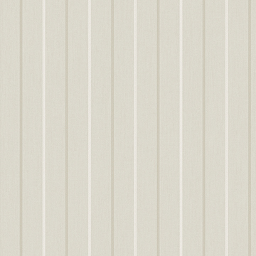 AN61107