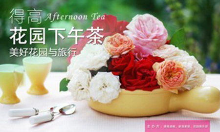 茄子视频色版在线观看花園下午茶，聆聽"美好花園與旅行"
